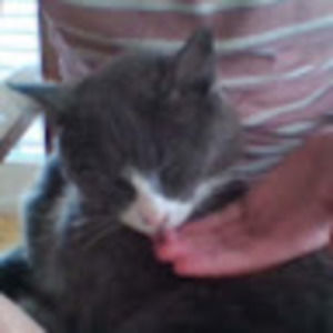 Meet your Posher, Amara